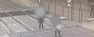Vertraging vaker schuld van 'idioten'