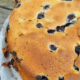 Frisse cake met blauwe bessen en citroen